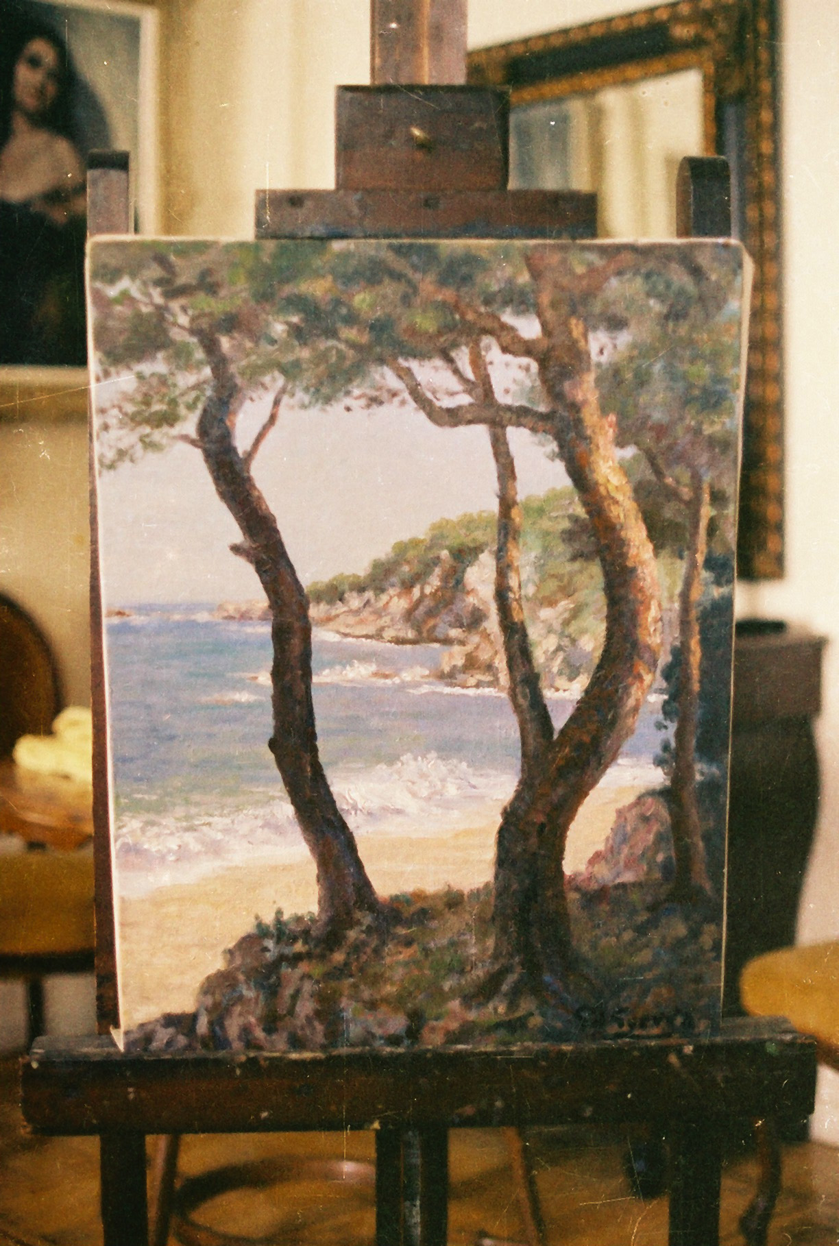Colección Paisajes